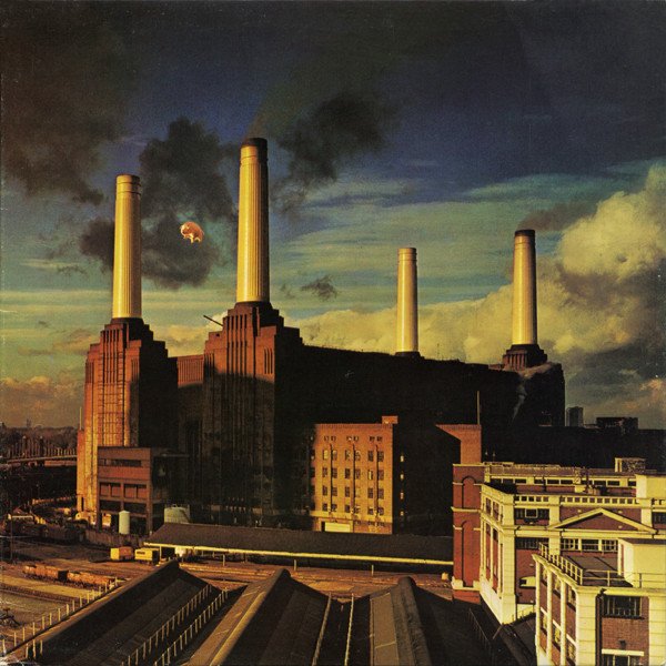 Cover of Animals