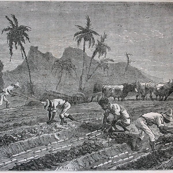 Cover of El Payendé