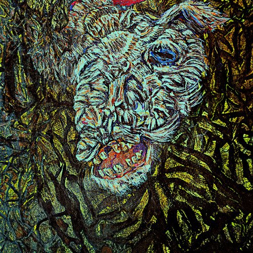 Cover of Fuerza Vital