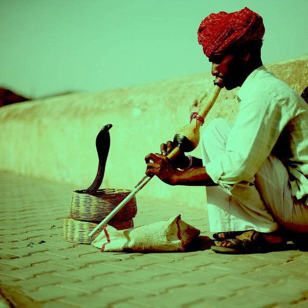 Cover of Kalanga