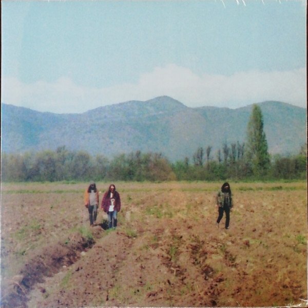 Cover of Lagunas Mentales