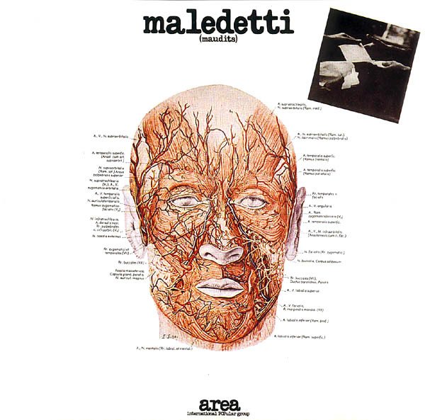 Cover of Maledetti (Maudits)