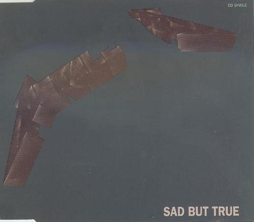Cover of Sad But True